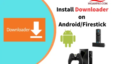 Downloader